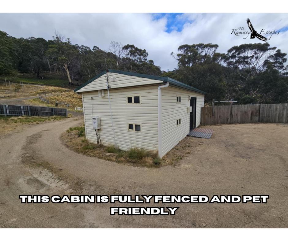 Mount Rumney Escapes - Platypus Cabin Exteriör bild